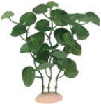 Augalas akvariumui plastmasinis mažas 15cm